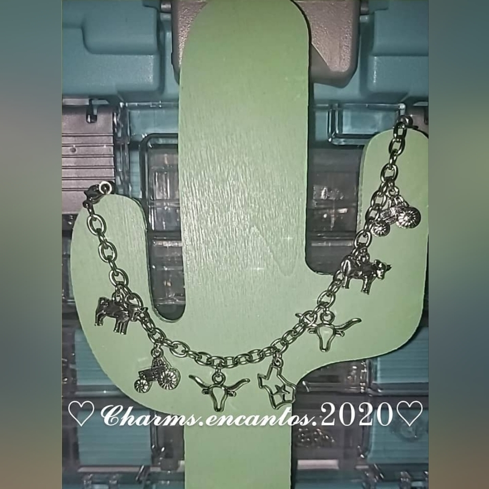 Charms bracelets